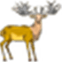 wapiti