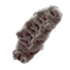 Waterbear