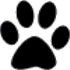 WebPaws HTML5 Playground