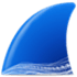 Wireshark