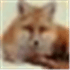 XMLFox