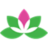 Yoga Studio