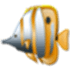 ZAC Browser
