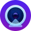 Camo logo
