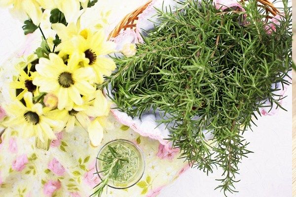 Baharat Bitkilerini Kurutma ve Saklama Yöntemleri