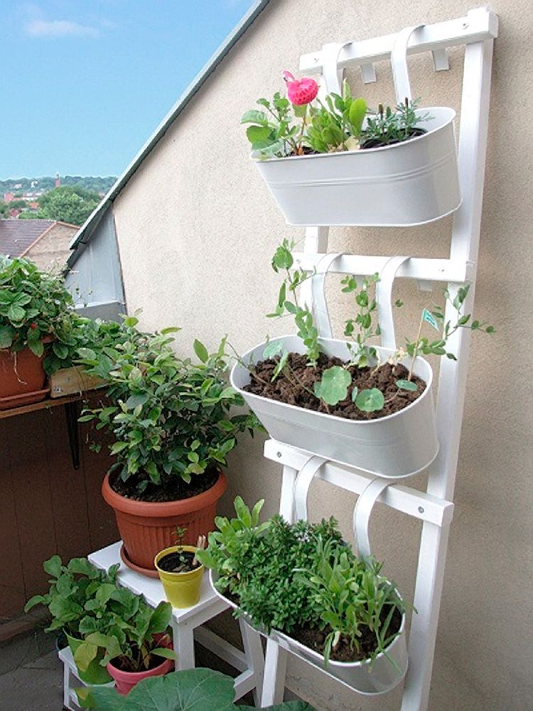 Asma Saksılarla Balkon Dekorasyonu ve Bitki Yetiştirme